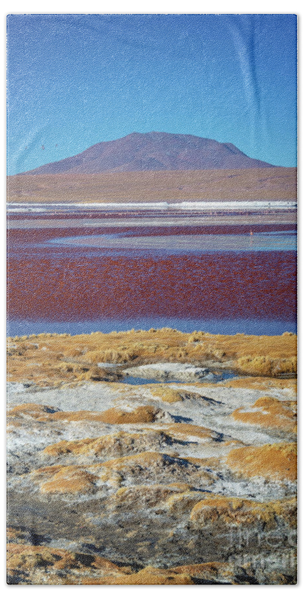 Bolivia Hand Towel featuring the photograph Laguna Colorada, Bolivia, vertical by Delphimages Photo Creations