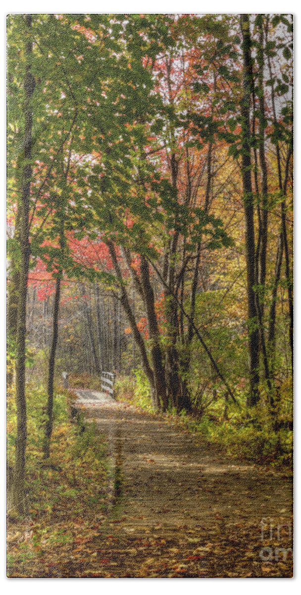  Autumn Hand Towel featuring the photograph Lake Loop in Fall by Rod Best