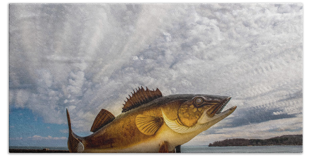 Lake Mille Lacs Hand Towel featuring the photograph Lake Mille Lacs Walleye by Paul Freidlund