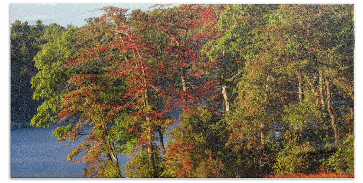 Lake Waban Bath Towel featuring the photograph Lake Waban Fall Foliage by Juergen Roth