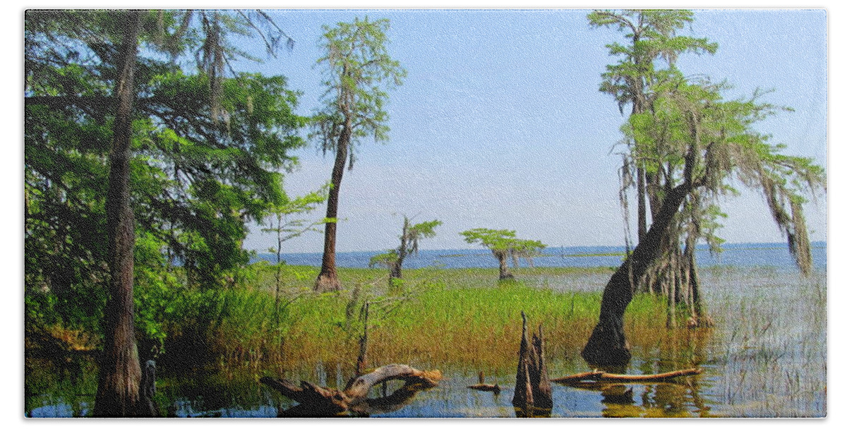 Lake Waccamaw Nc Photographs Images Of North Carolina Lakes Photographs North Carolina Landscapes Photographs South Nc Images Southern Scenery Cypress Trees Images Lakescapes Nc Waterscapes Lake Shore Prints Gator Country Images Nc Alligator Habitat Water View Summer Lake Vista Images Lake Prints South East Cypress Wetlands Nature Prints Awesome Images Restore Water Quality Preserve Southern Oldgrowth Forest Biodiversity Preserve Endangered Natural Landscapes Green Interior Design Office Art Hand Towel featuring the photograph Lake Waccamaw NC by Joshua Bales
