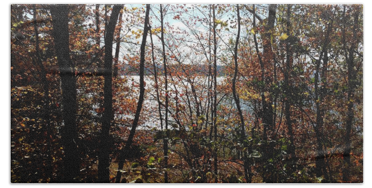 Lake Wallenpaupack Bath Towel featuring the photograph Lake Wallenpaupack Through The Trees by Judith Rhue