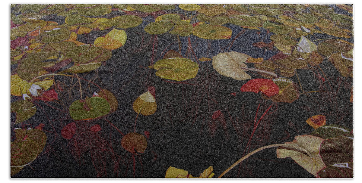 Water Bath Towel featuring the painting Lake Washington Lilypad 7 by Thu Nguyen