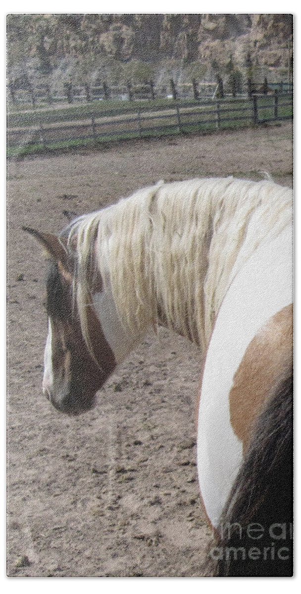 Horse Bath Towel featuring the photograph Lakna by Brandy Woods