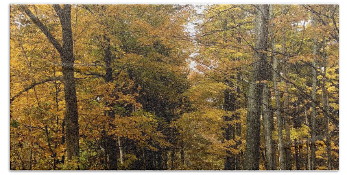 Autumn Hand Towel featuring the photograph Lane by Pat Purdy