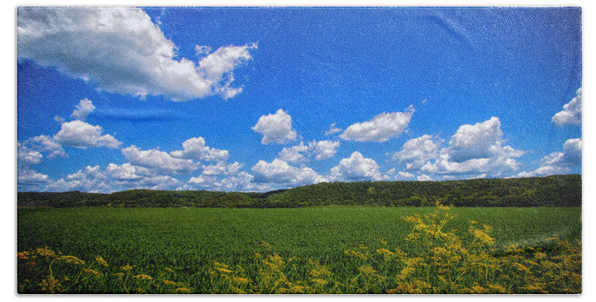 Field Bath Towel featuring the photograph Lanesboro Fields by Bill and Linda Tiepelman