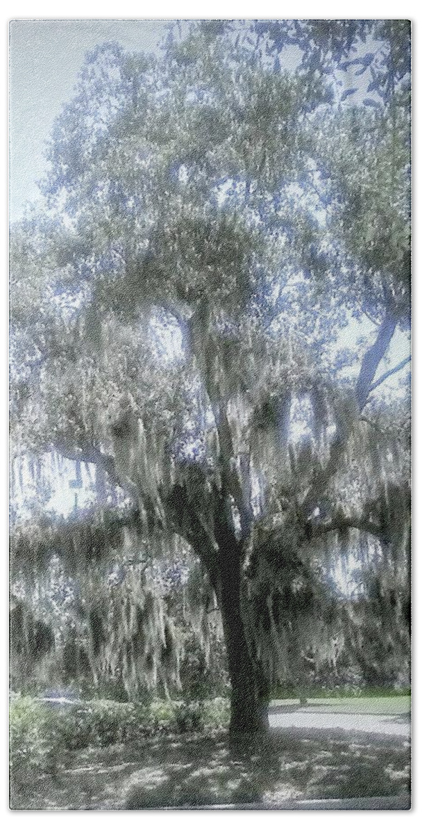 Tree. Florida Bath Towel featuring the photograph Largo's Spanish Moss by Suzanne Berthier