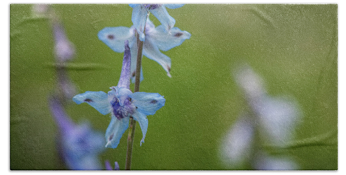 Flowers Hand Towel featuring the photograph Larkspur on the Roadside by Robert Potts