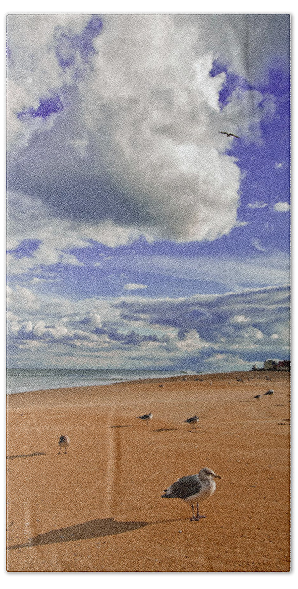 Gulls Bath Towel featuring the photograph Last Day at the Beach by Jim Moore