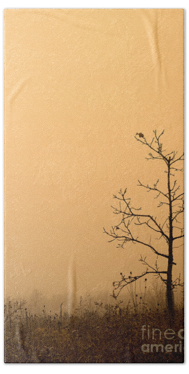 Tree Hand Towel featuring the photograph Last Leaves by Timothy Johnson