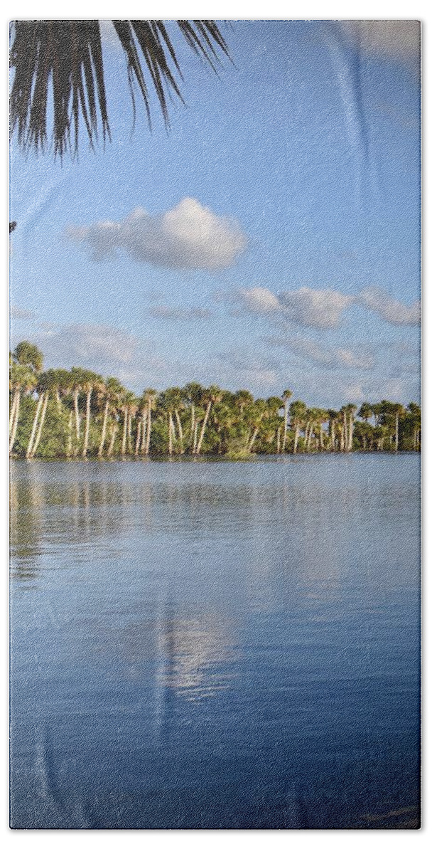 Marsh Bath Towel featuring the photograph Late Afternoon Sunlight II by Carol Bradley