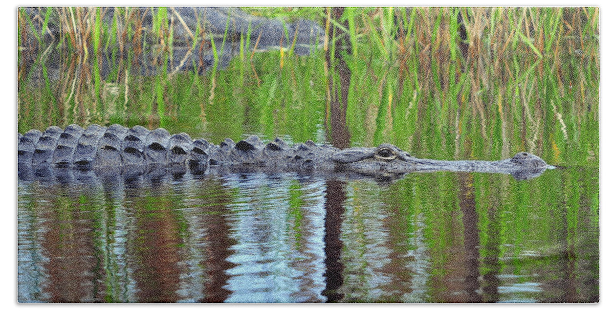 Alligator Bath Towel featuring the photograph Later Gator by Al Powell Photography USA