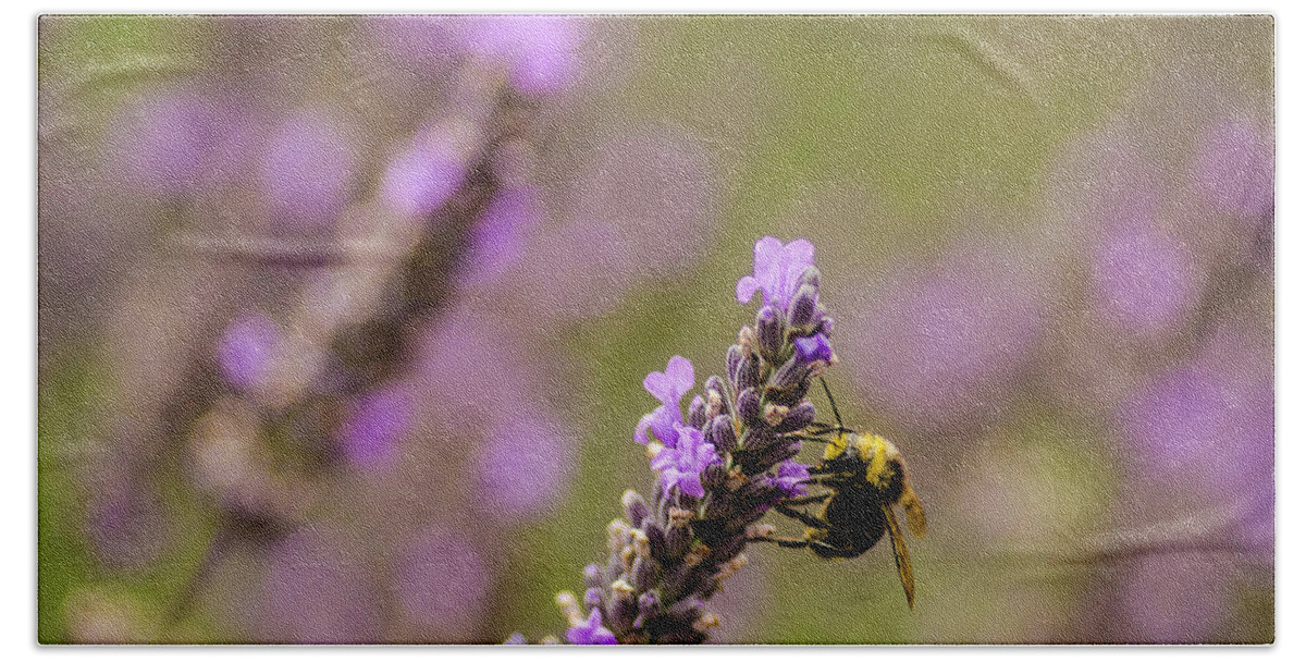 Natural Bath Towel featuring the photograph Lavender And Bee by Nick Boren