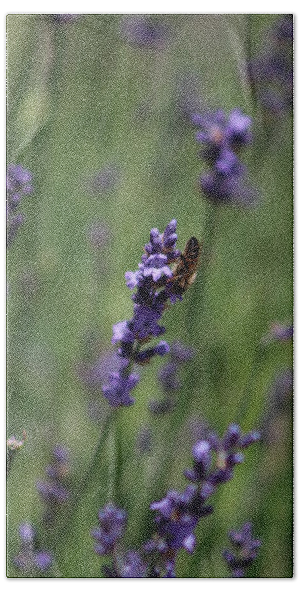Deep Purple Lavender Hand Towel featuring the photograph Lavender and Honey Bee by Colleen Cornelius