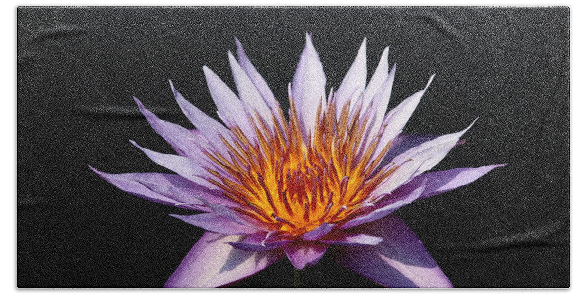 Hand Towel featuring the photograph Lavender Fire 1 by Ron Monsour