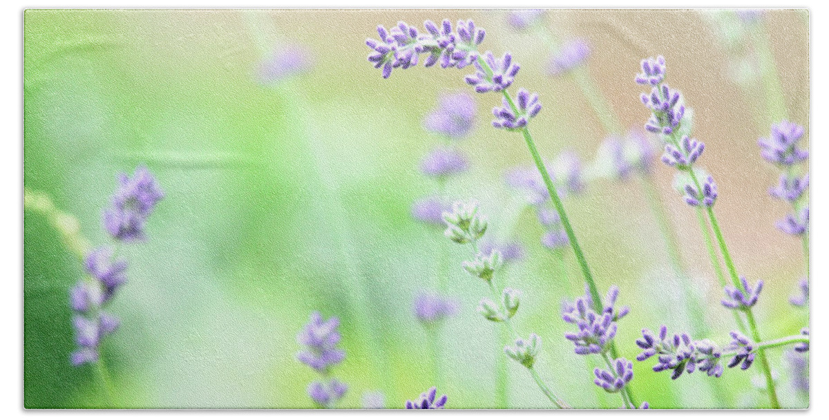 Lavender Hand Towel featuring the photograph Lavender Garden by Trina Ansel