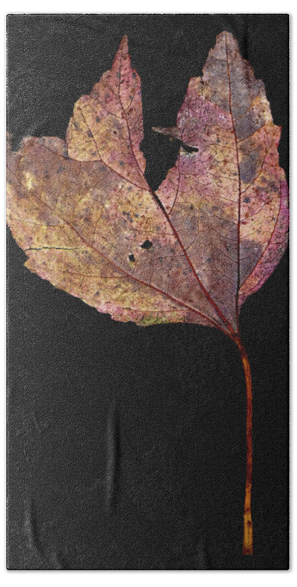 Leaf Hand Towel featuring the photograph Leaf 11 by David J Bookbinder