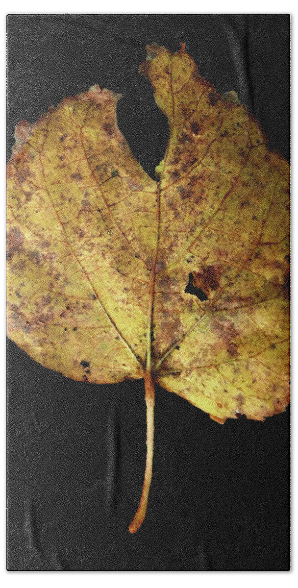 Leaf Hand Towel featuring the photograph Leaf 13 by David J Bookbinder