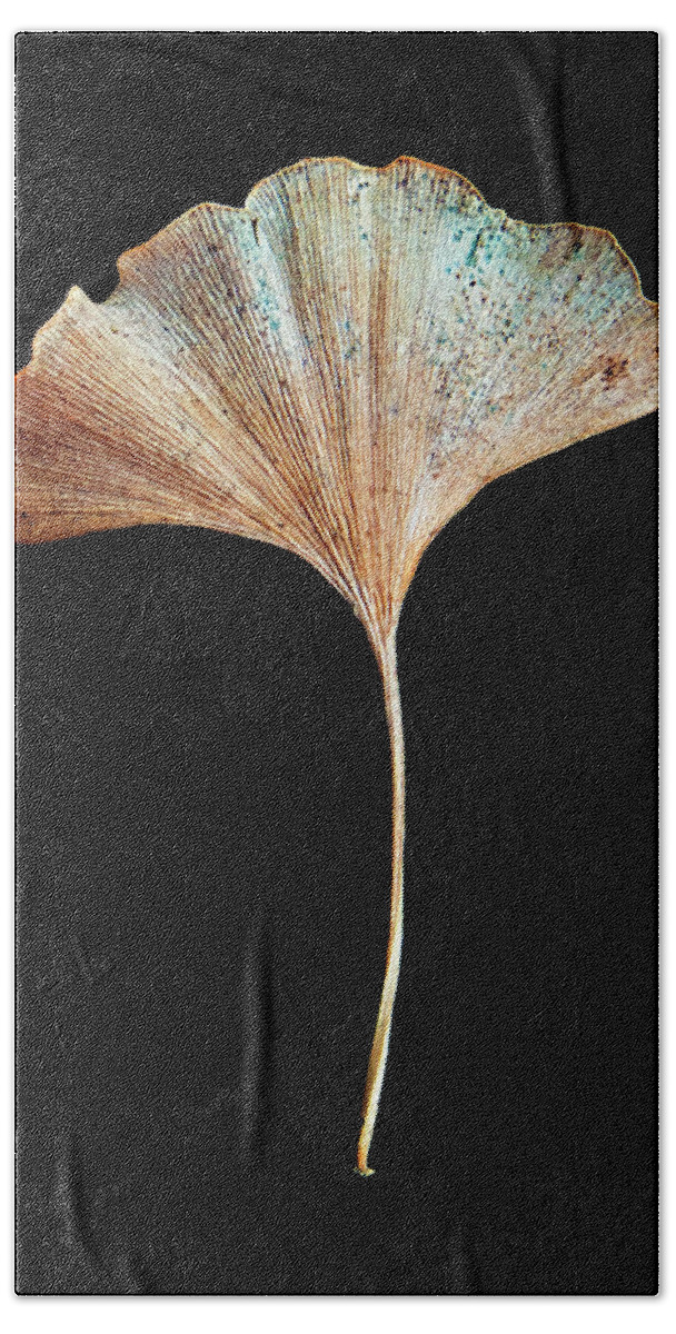 Leaves Bath Towel featuring the photograph Leaf 17 by David J Bookbinder