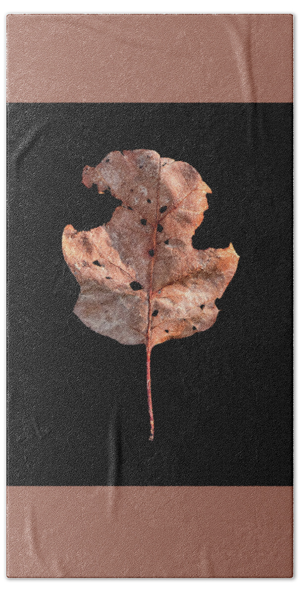 Leaves Bath Towel featuring the photograph Leaf 24 by David J Bookbinder