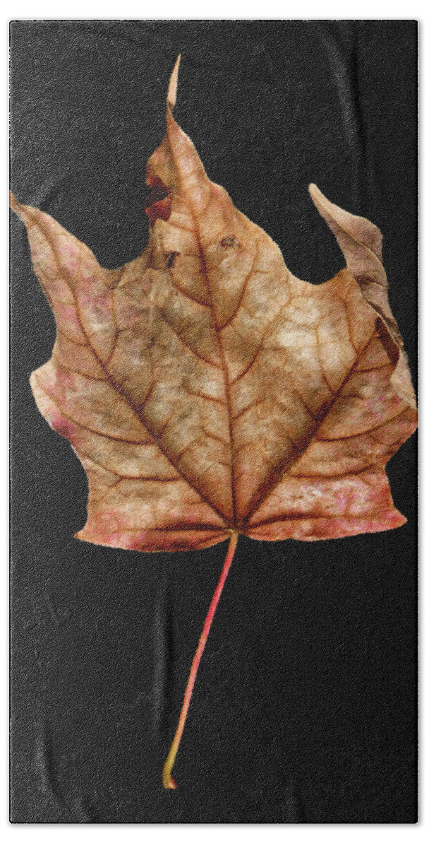 Leaf Bath Towel featuring the photograph Leaf 4 by David J Bookbinder