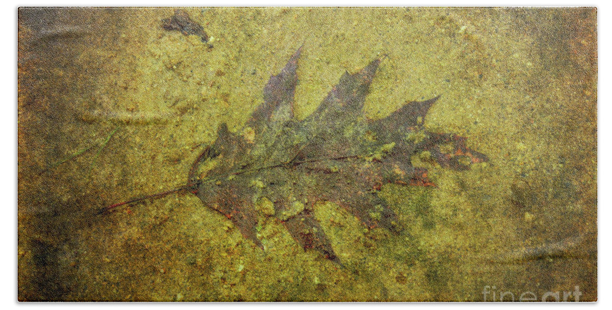 Leaf In Mud Hand Towel featuring the digital art Leaf in Mud Two by Randy Steele