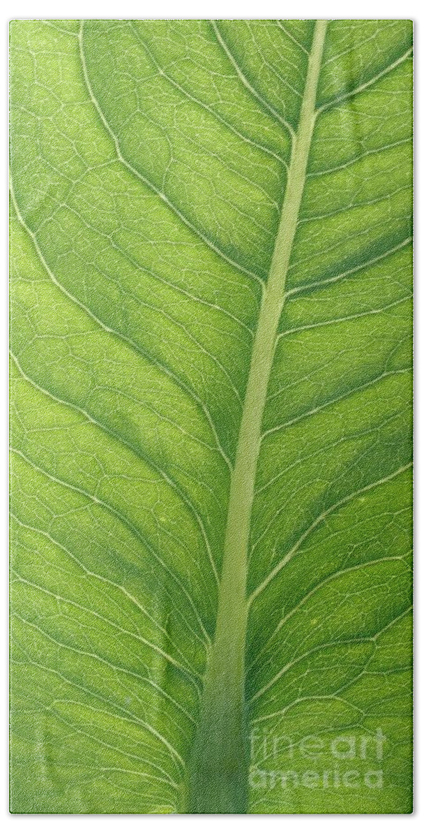 Green Hand Towel featuring the photograph Leaf Life by Anita Adams