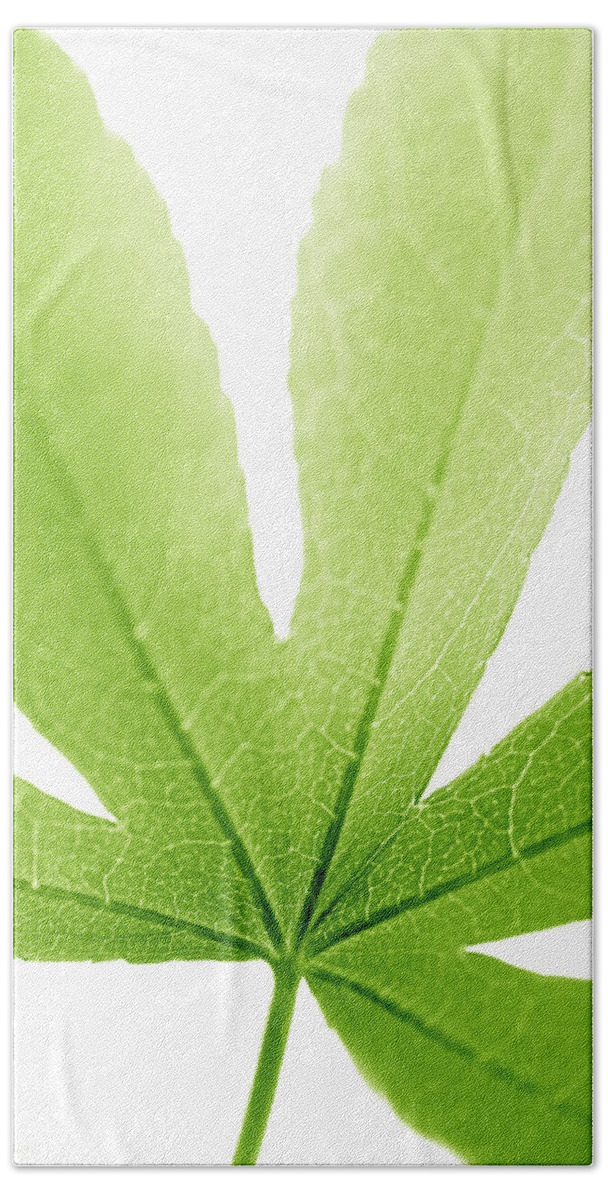 Leaf Bath Towel featuring the photograph Leaf Macro Lime Green Vertical by Jennie Marie Schell