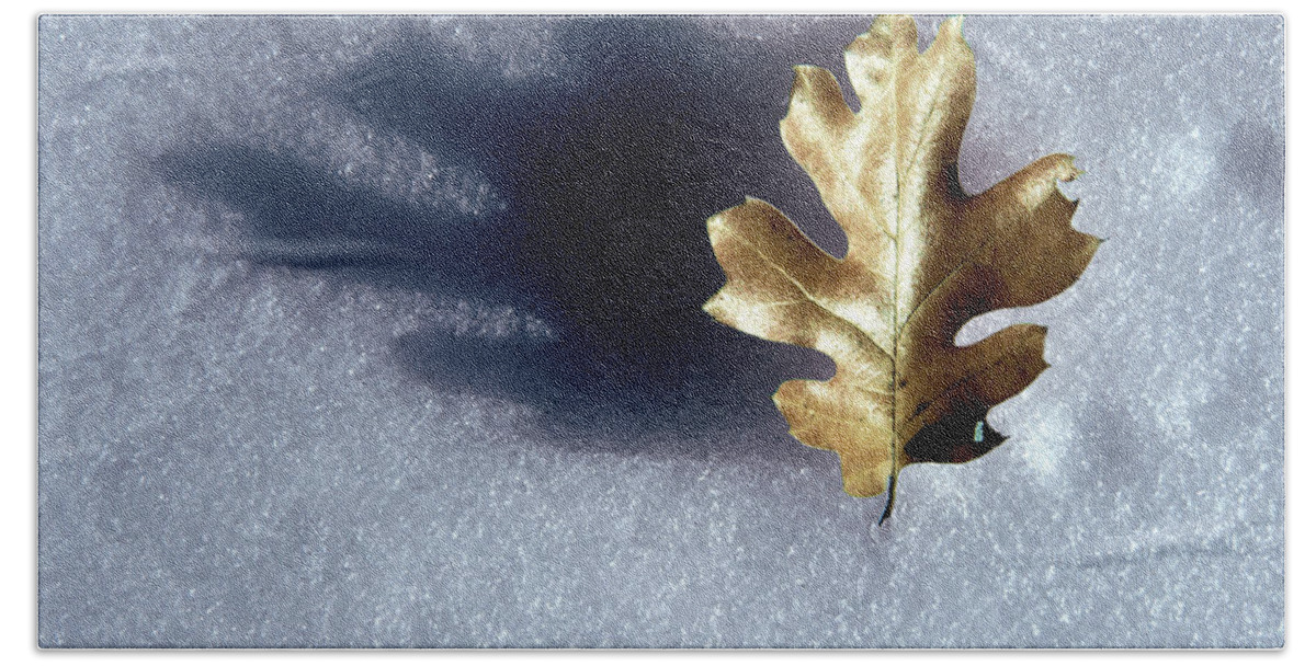 Photography Hand Towel featuring the photograph Leaf on Snow by Paul Wear