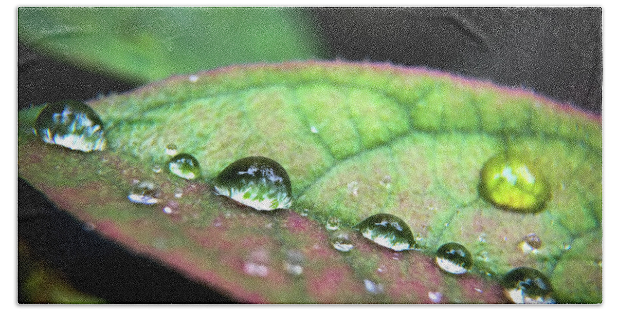 Macro Bath Towel featuring the photograph Leaf Veins and Raindrops by Robert Yaeger