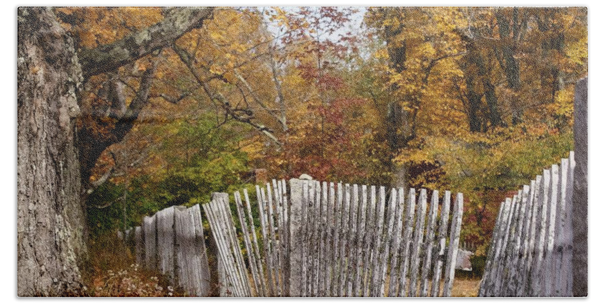 Autumn Bath Towel featuring the photograph Leaves along the fence by Lois Lepisto