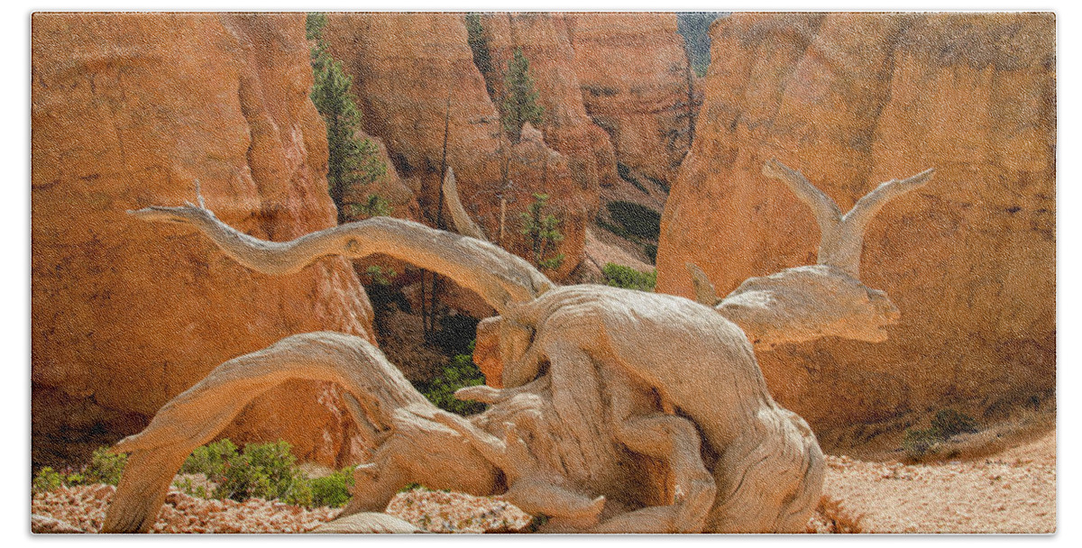 Bryce Canyon Hand Towel featuring the photograph Legend People by Jim Cook
