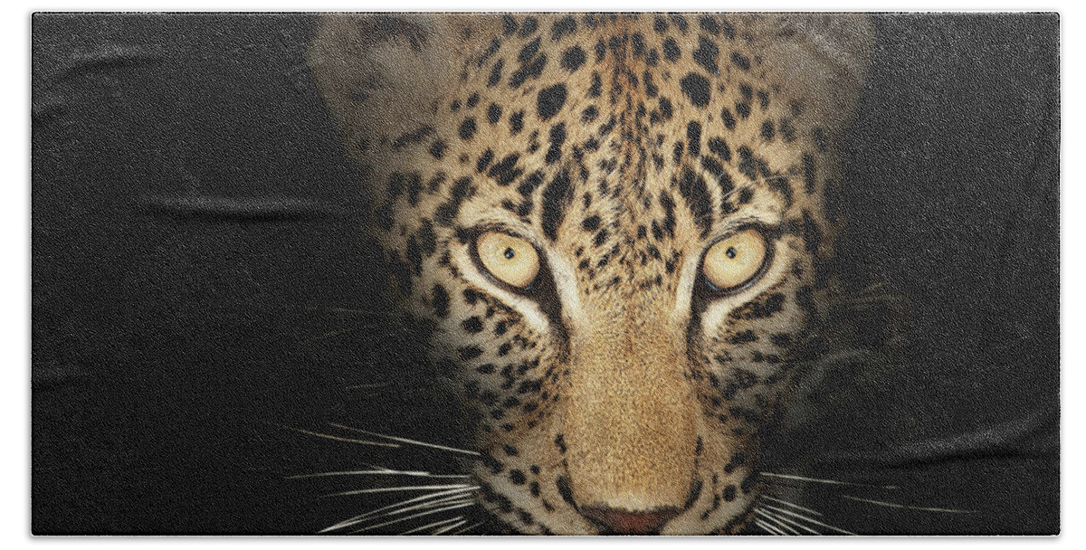 Leopardeyesdarkblackbackgroundwildlifeanimalmammalwildcatpantherapardusspottedfierceintensestarelookpowerfulpredatorcloseupclose-upclosepiercinglicktonguefrontviewafricaphotographonenobodyportraitsafaripawyellownaturedetail015092rs2 Hand Towel featuring the photograph Leopard In The Dark by Johan Swanepoel