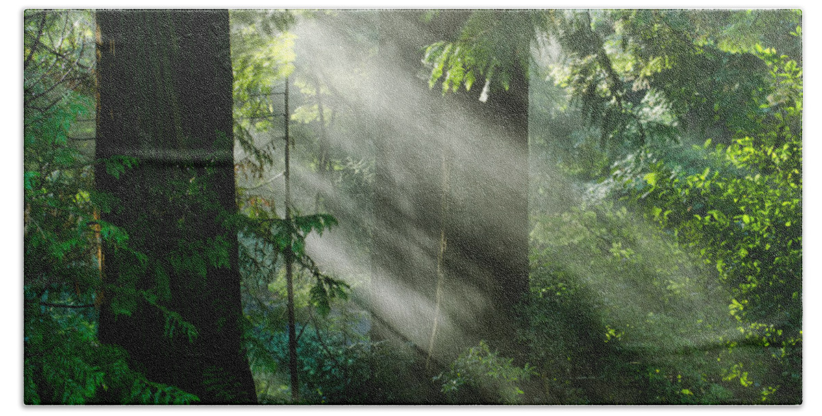 Sunrays Hand Towel featuring the photograph Let There Be Light by Don Schwartz