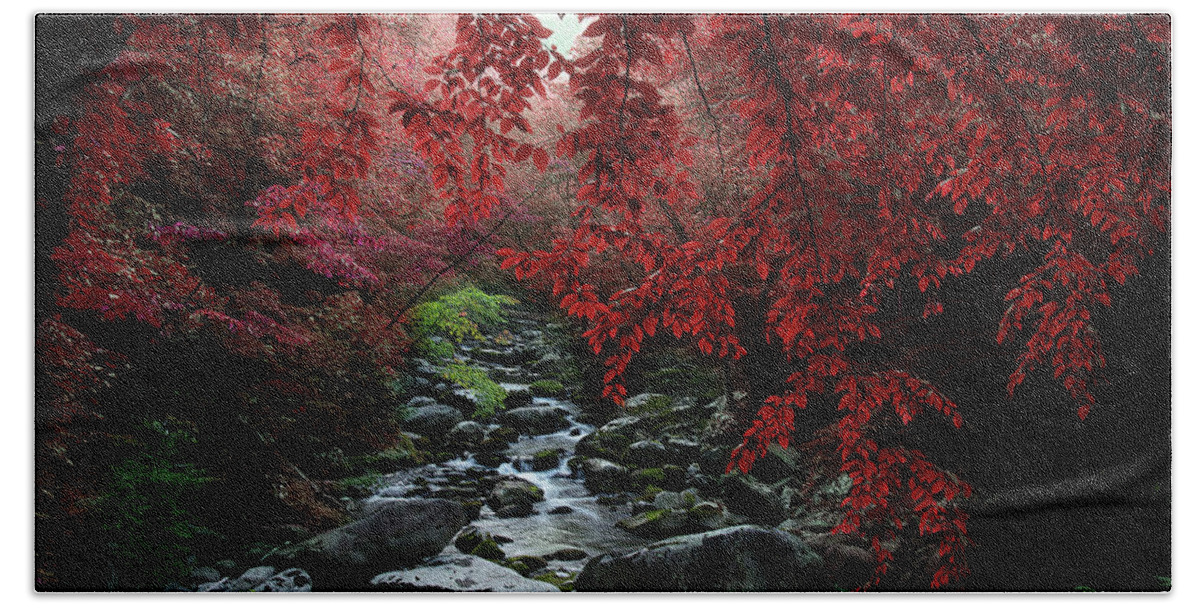 Smoky Mountain Stream Hand Towel featuring the photograph Let's Dream Together by Mike Eingle
