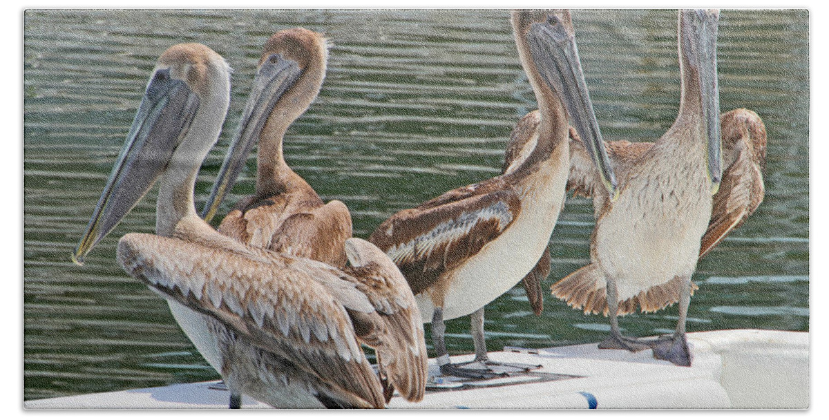 Pelican Bath Towel featuring the photograph Lets Go Fishing by Bob Slitzan