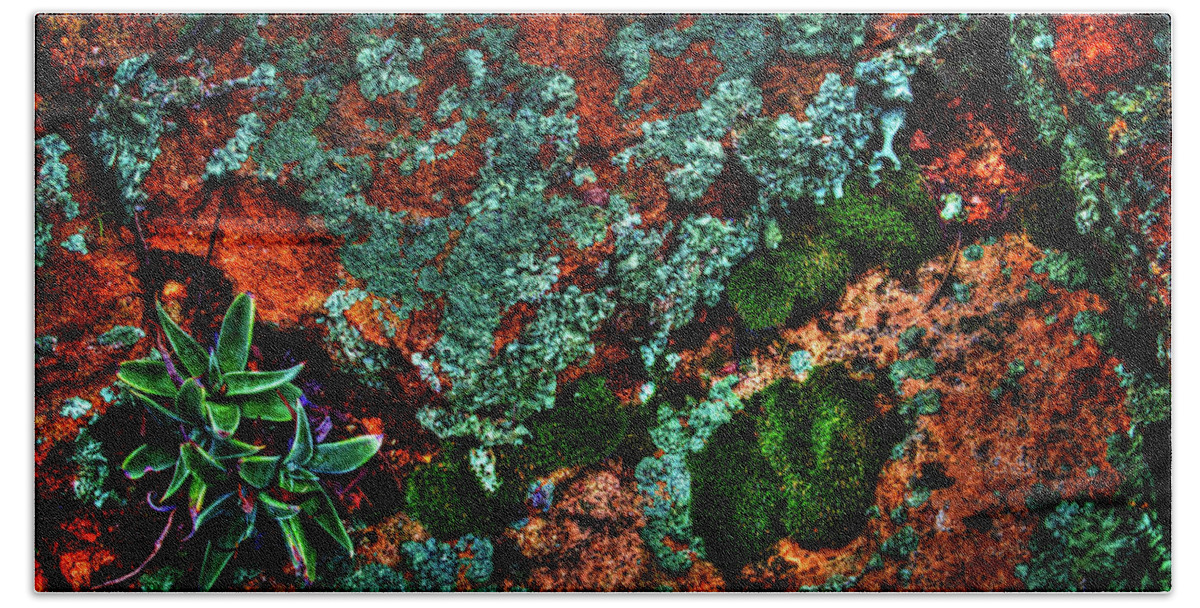 Arizona Hand Towel featuring the photograph Lichen, Moss and Desert Sage by Roger Passman