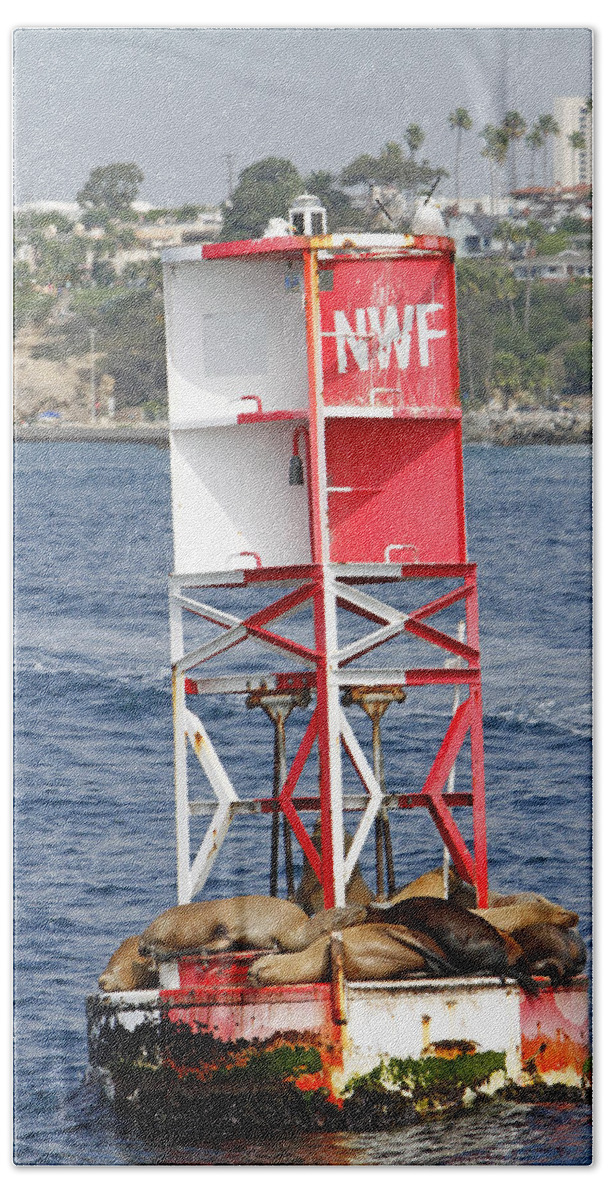 Sea Lions Hand Towel featuring the photograph Life on the Buoy by Shoal Hollingsworth