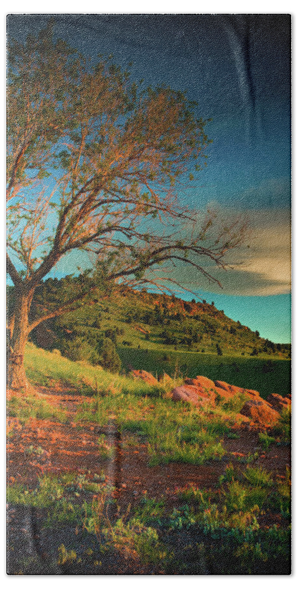 Red Rocks Park Hand Towel featuring the photograph Light Of The Hillside by John De Bord