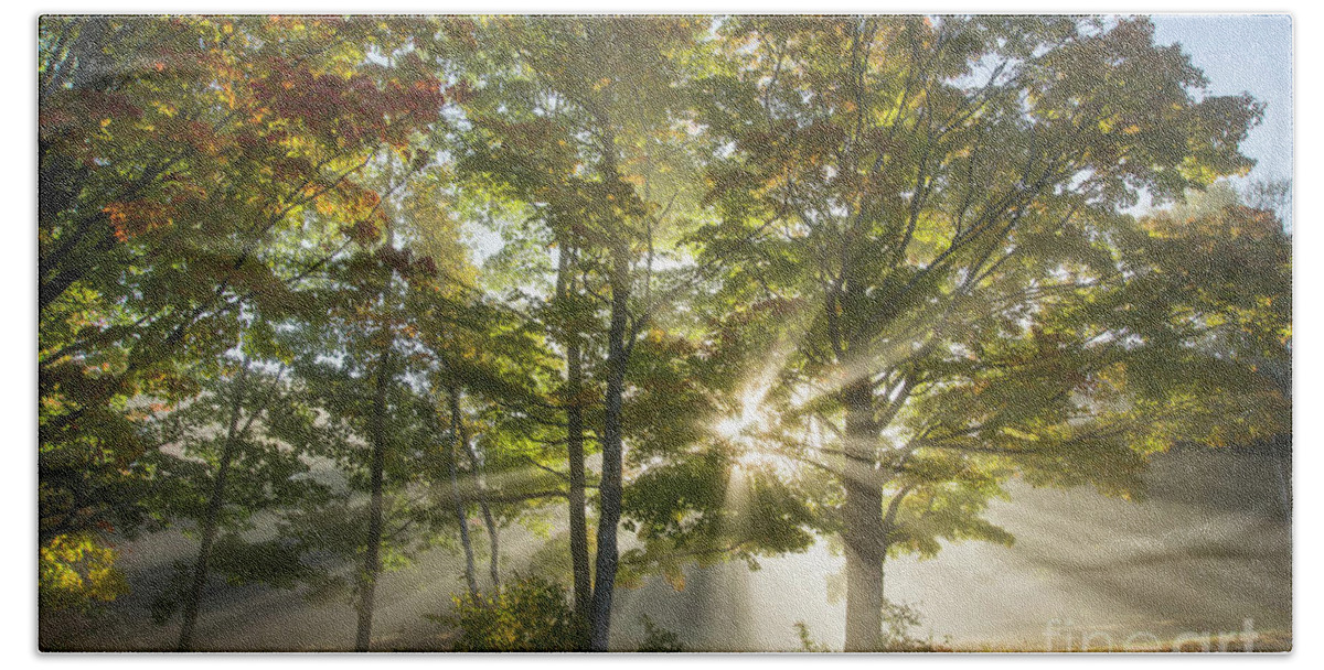 Morning Hand Towel featuring the photograph Light Rays Shinning by Alana Ranney