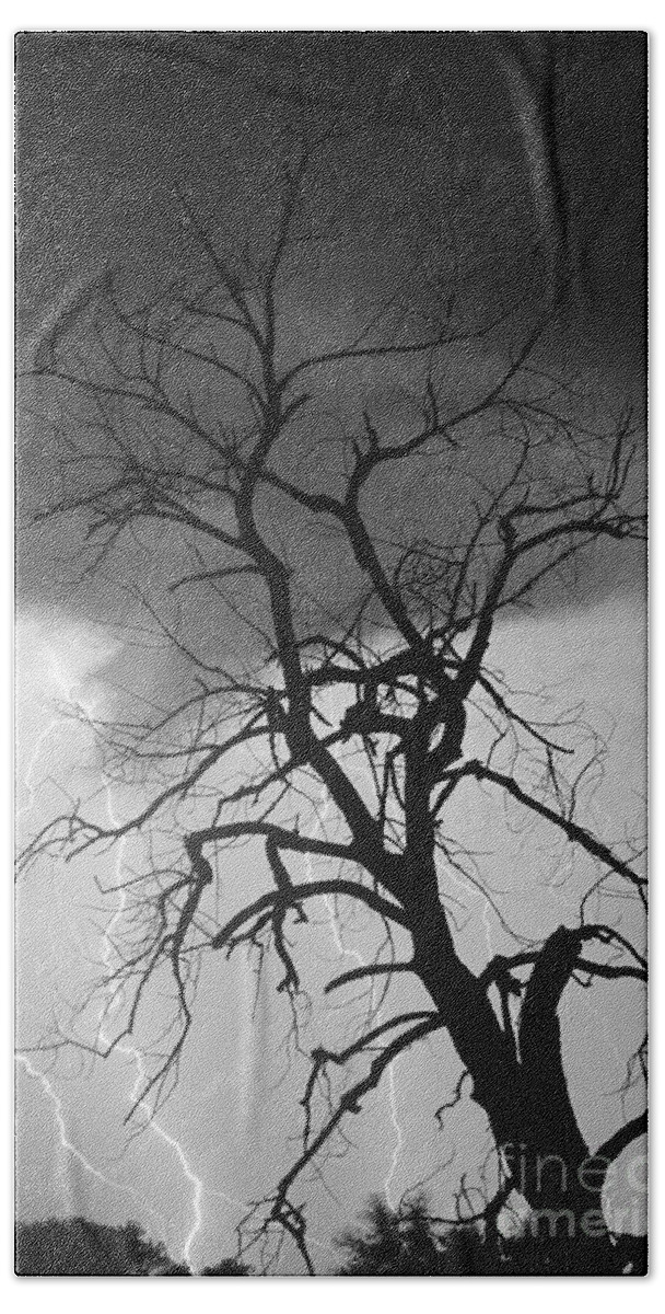 James Bo Insogna Hand Towel featuring the photograph Lightning Tree Silhouette Portrait BW by James BO Insogna