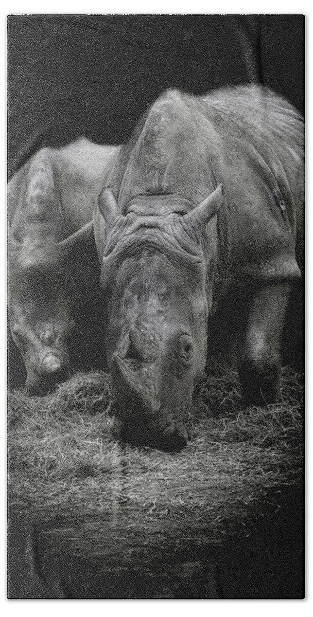 Rhino Hand Towel featuring the photograph Like Father like Son by Paul Neville