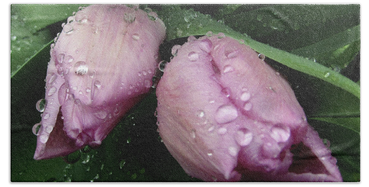Tulips Bath Towel featuring the photograph Lilac Drops 2 by Kim Tran