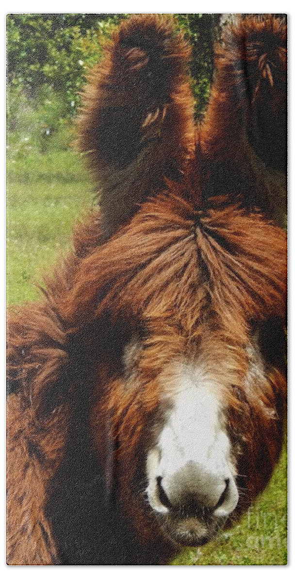 Donkey Bath Towel featuring the photograph Lily by Jan Gelders