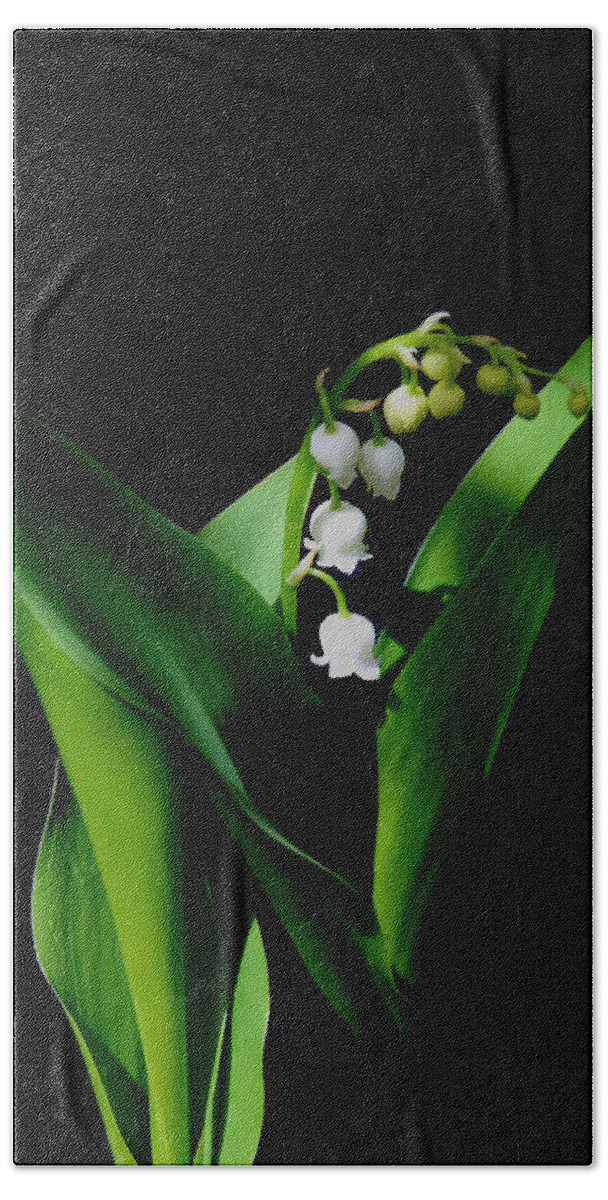Lily Of The Valley Hand Towel featuring the photograph Lily Of The Valley by Living Color Photography Lorraine Lynch