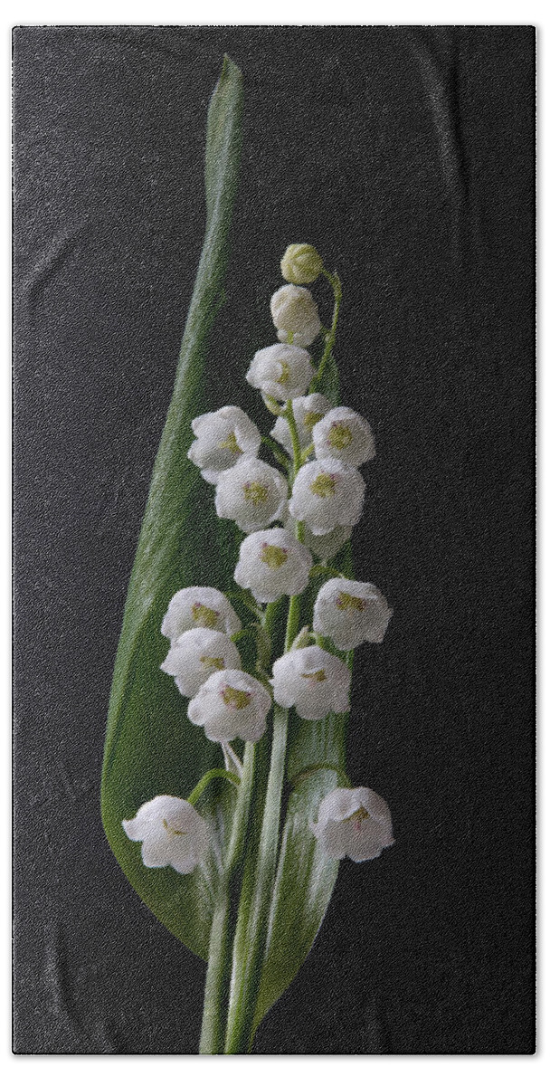 Flower Bath Towel featuring the photograph Lily of the Valley on Black by Patti Deters