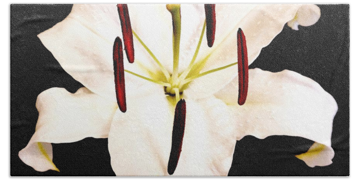 Photo Bath Towel featuring the photograph Lily On Black by Marsha Heiken