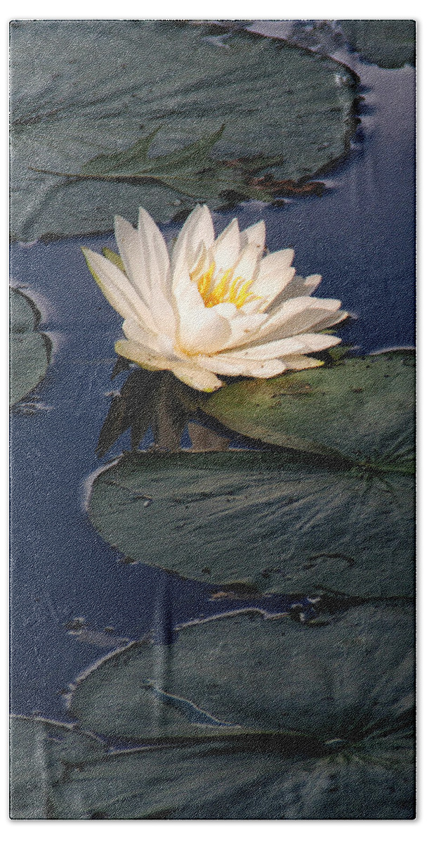 Flower Bath Towel featuring the photograph Lily Pads With Flower by William Selander