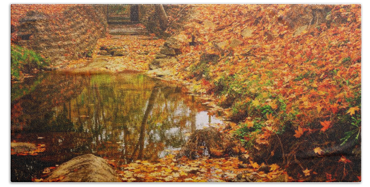  Bath Towel featuring the photograph Lineberger Park 6 by Rodney Lee Williams