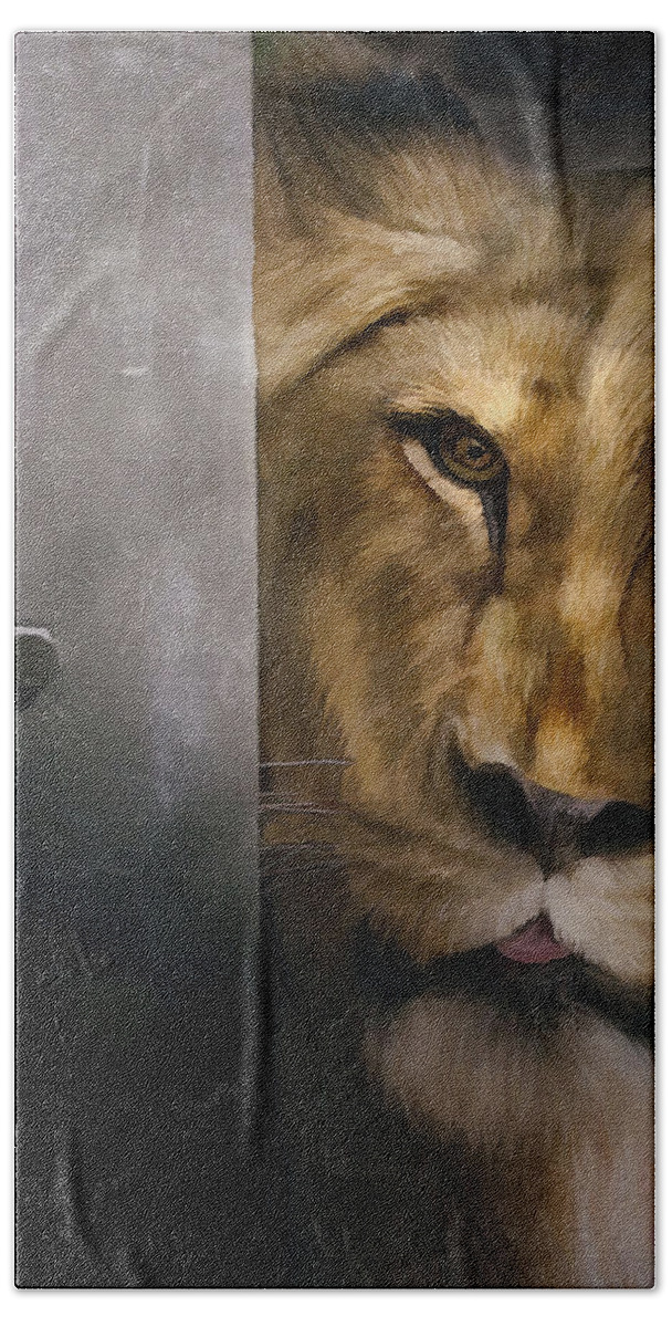 Lion Bath Towel featuring the photograph Lion Eye by Sharon Foster